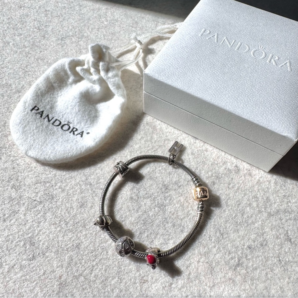 💎 Pandora 14k gold & sterling silver bracelet with charms
